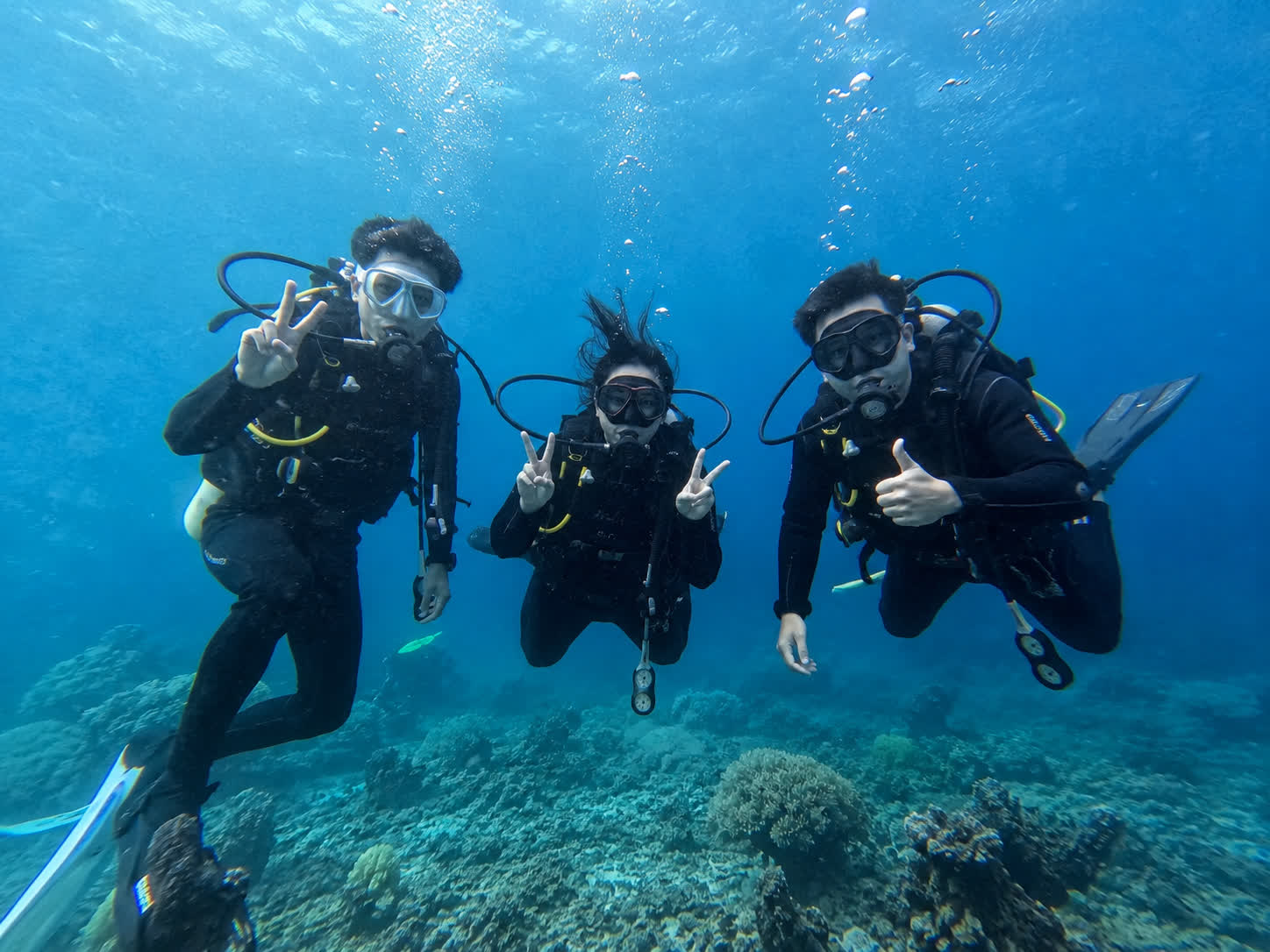 Diving Tidung